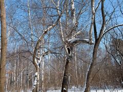 -长春市南湖公园