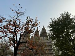 -北京石刻艺术博物馆(五塔寺)