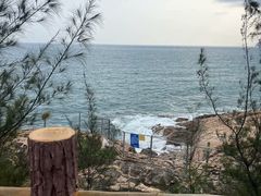 -广东惠东海龟国家级自然保护区