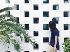 -八大山人梅湖景区
