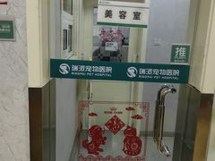 -瑞派天宁宠物医院·猫科·异宠中心