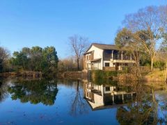 -西溪国家湿地公园