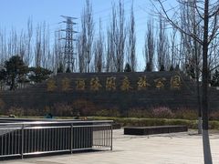 -永定河休闲森林公园