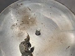 -欢乐牧场海鲜烤肉自助(牡丹园店)