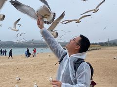 -海驴岛(荣成市)