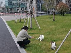 -北外滩滨江绿地