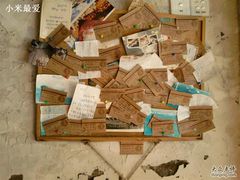 -Babycat私家御饼屋(龙头路一店)