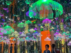 -深圳独角兽星空艺术馆
