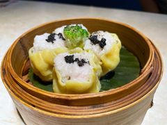 -点都德·毕德寮