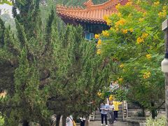 -南沙天后宫景区