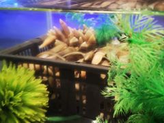 -V-ONE西雅图海鲜自助餐厅(仓山万达广场店)