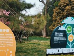 -团结湖公园