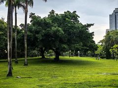 -荔香公园