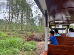 -黄海国家森林公园