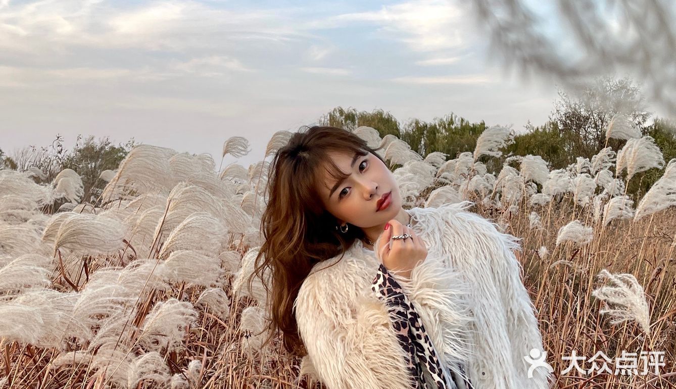 济南免费拍照圣地❗️芦苇荡拍照攻略