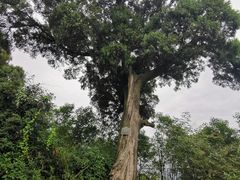-金堂县云顶石城风景区