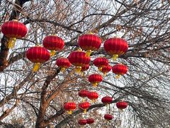 -北京世界公园