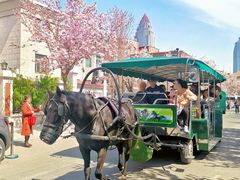 -天津君隆威斯汀酒店