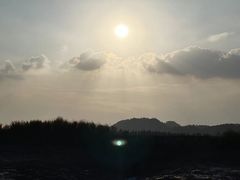 -蛇蟠岛