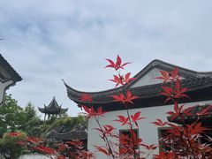 -芥子园
