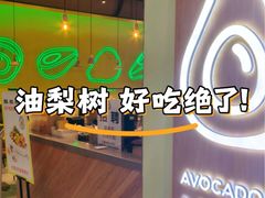 -油梨树AVOCADO TREE(望京店)