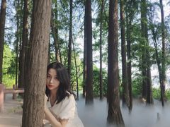 -东湖落雁景区