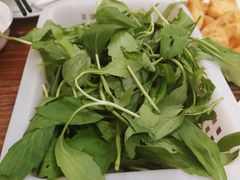 -正能量脆肉鲩火锅