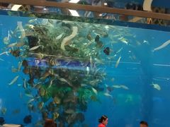 大堂-瑞德姆美人鱼海底演艺主题餐厅(亚龙湾店)