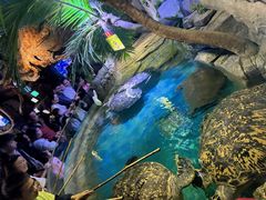 -多彩贵州城极地海洋世界