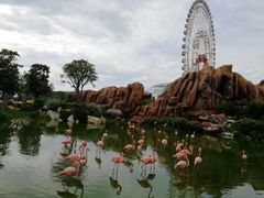 -芽庄珍珠岛游乐园