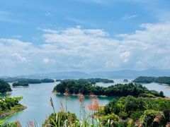 -千岛湖天屿景区