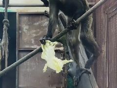 -昆明动物园