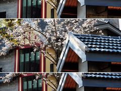 -颐和路民国时期公馆风貌区