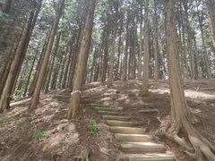 -四明山国家森林公园