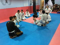 -金翼跆拳道巴西柔术拳击格斗学院