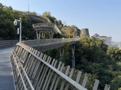 -福道