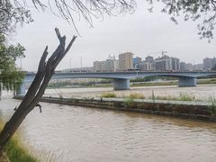 -水车博览园