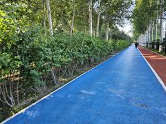 -大兴滨河森林公园