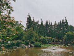 -郑和公园