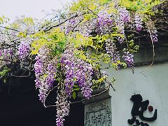 -老门东历史文化街区