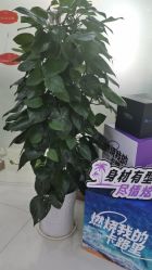 -青岛诺德医学美容医院