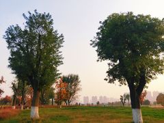 -汉长安城未央宫国家考古遗址公园