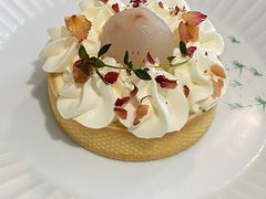 圆舞曲-猫里有甜