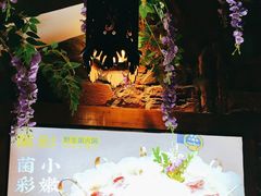 -菌彩云南野生菌火锅(呈贡七彩云南第壹城店)