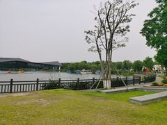 -上海长兴岛郊野公园