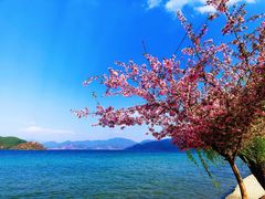 -丽江泸沽湖景区