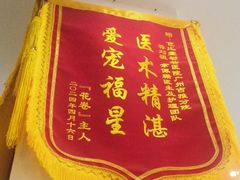 -芭比堂动物医院·心脏科·老年急重症·夜诊·吉雅分院