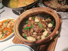 -大榕树下顺德菜(融创茂店)