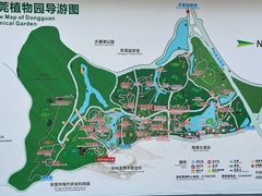 -东莞植物园