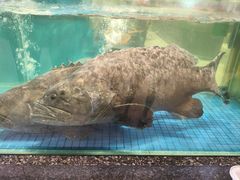 -聚福宝合苑食府(南头镇店)